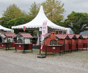 Sapanca Peyzaj, Süs Bitkileri, Bahçe Sanatları ve Ekipmanları Fuarı